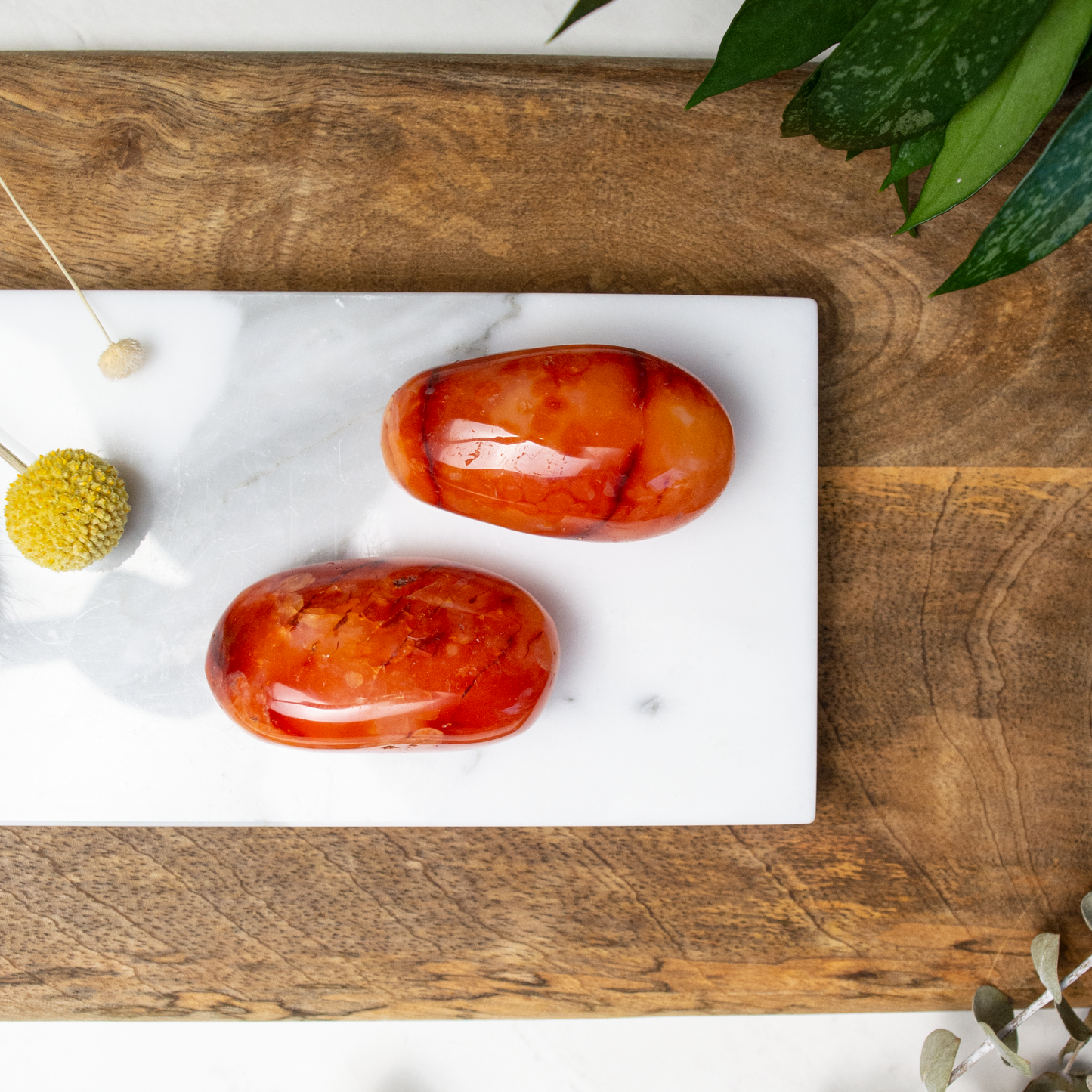 Carnelian Palm Stone