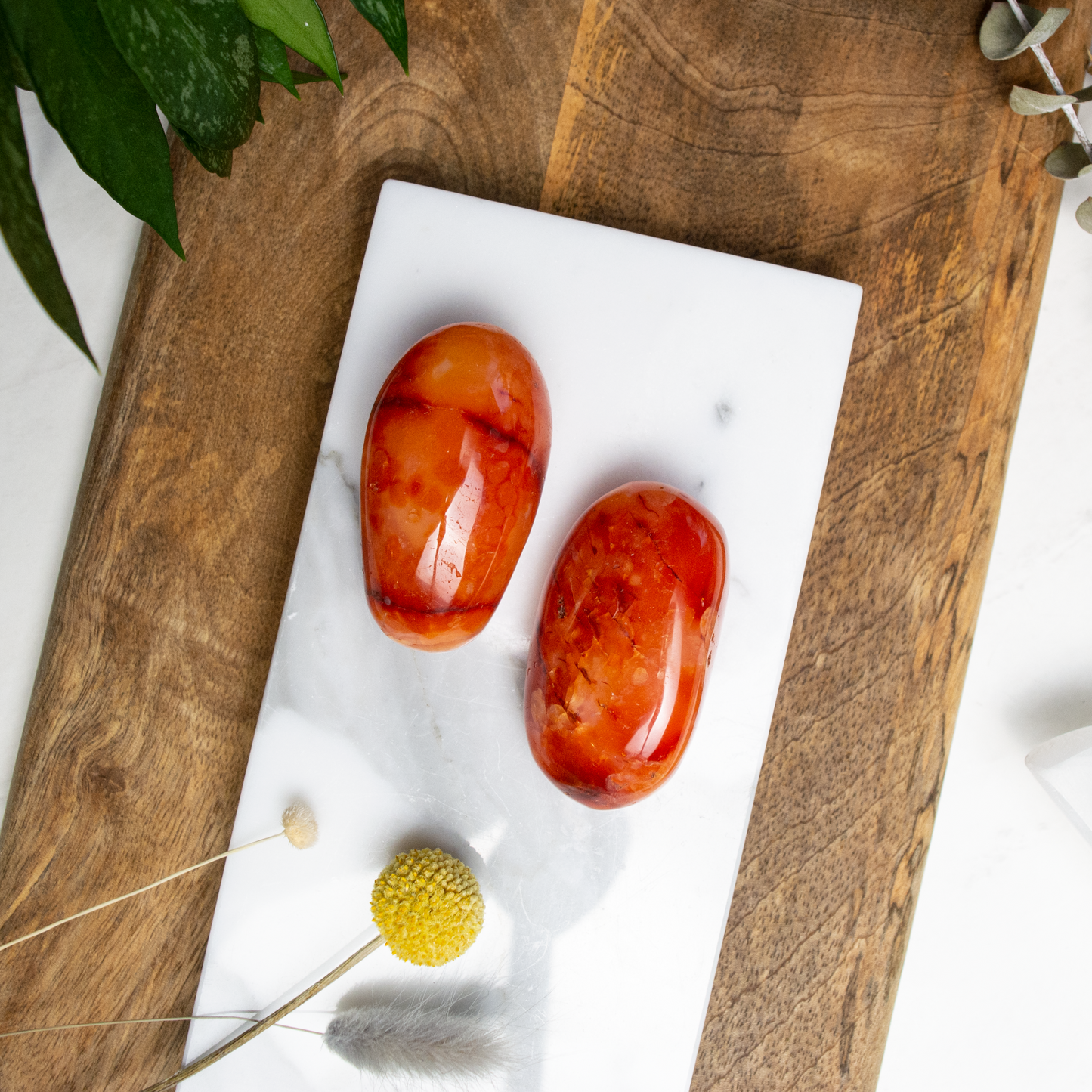 Carnelian Palm Stone