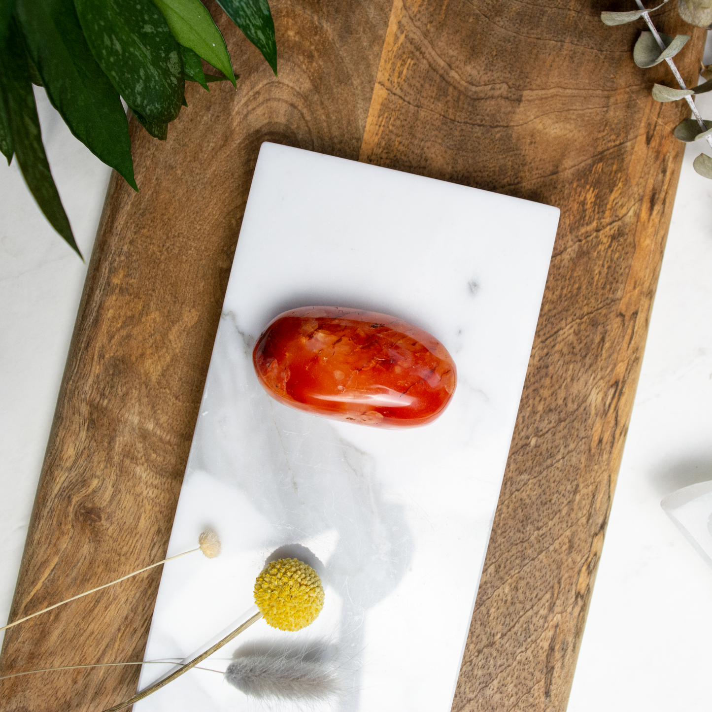 Carnelian Palm Stone