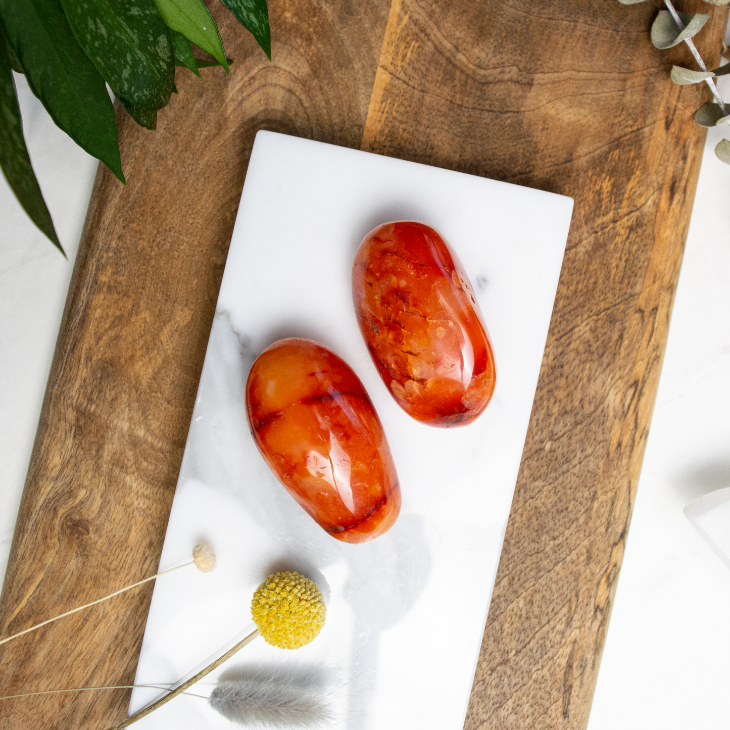 Carnelian Palm Stone