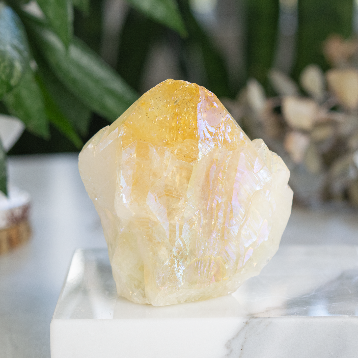 Citrine Angel Aura Rough Cut