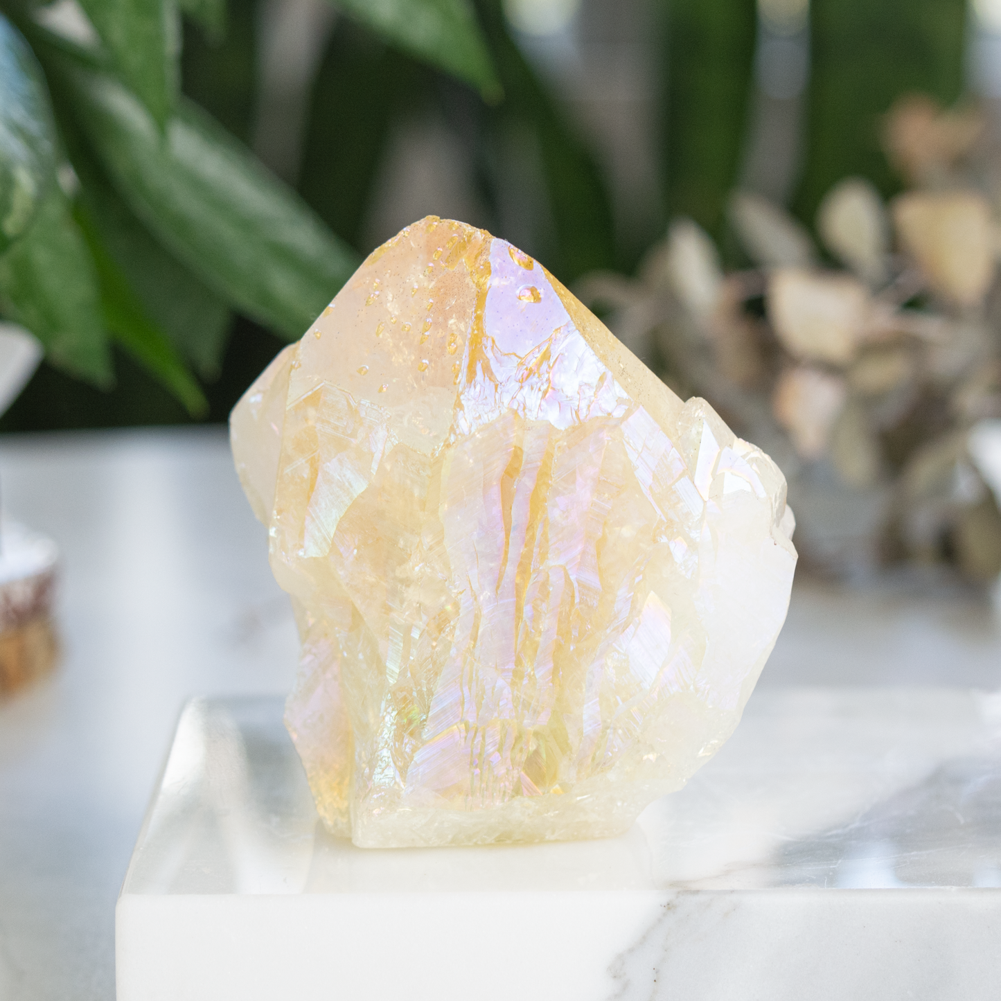 Citrine Angel Aura Rough Cut