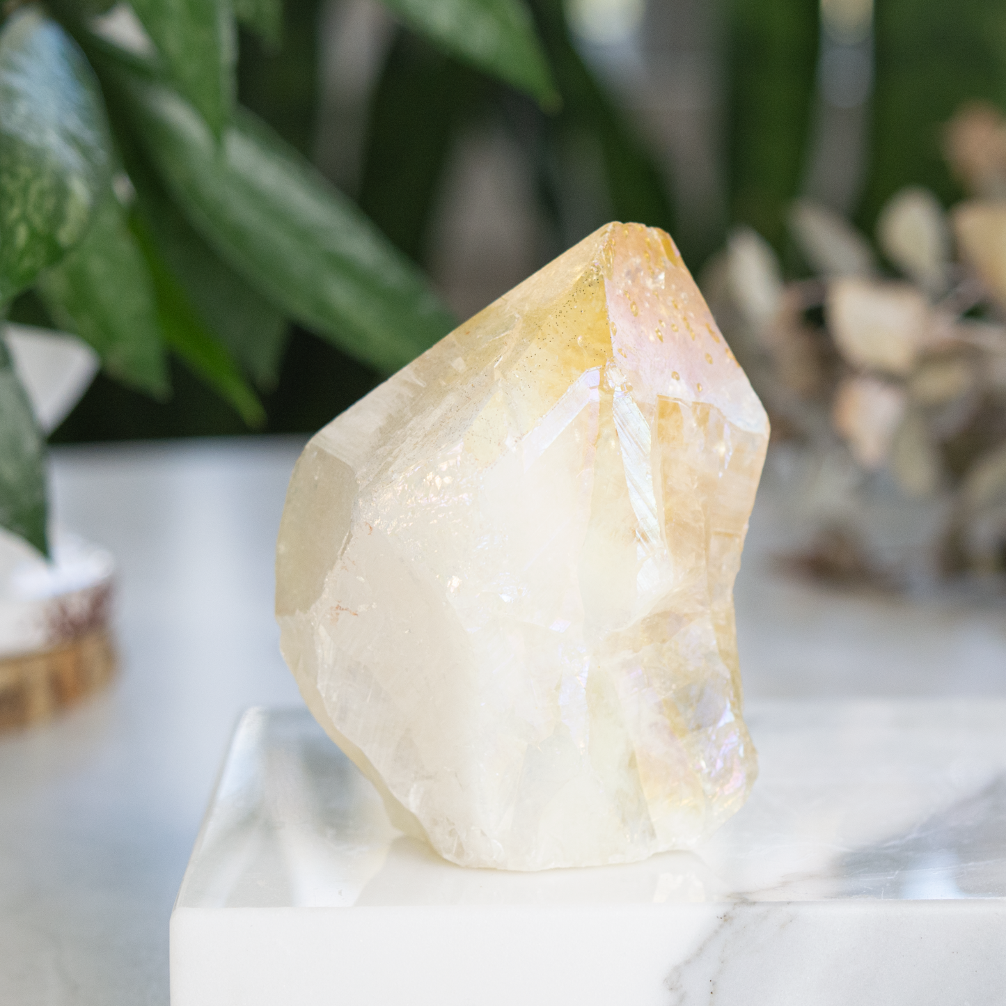 Citrine Angel Aura Rough Cut