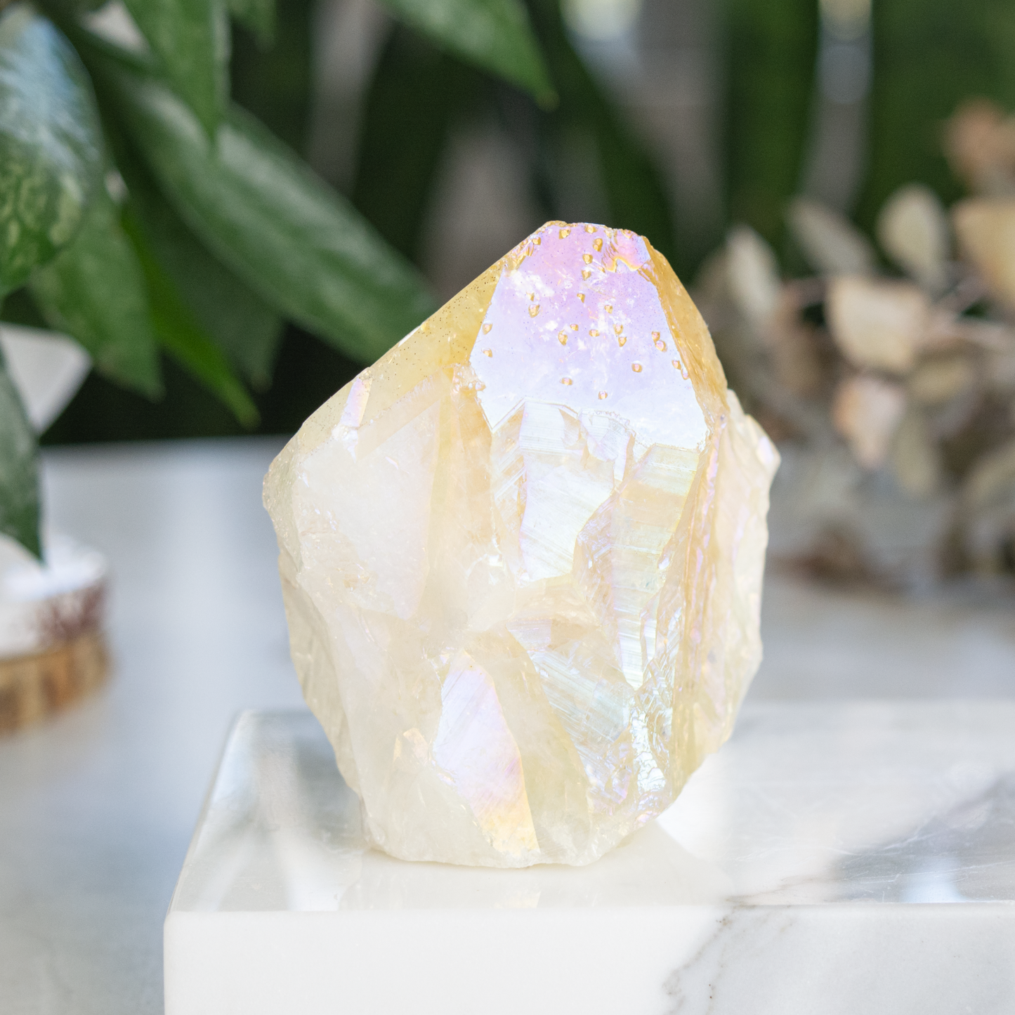 Citrine Angel Aura Rough Cut