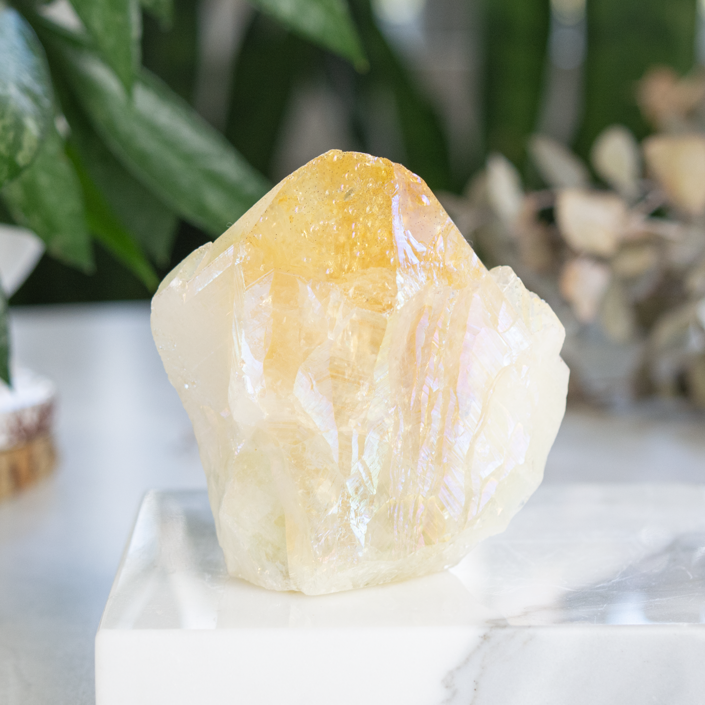 Citrine Angel Aura Rough Cut