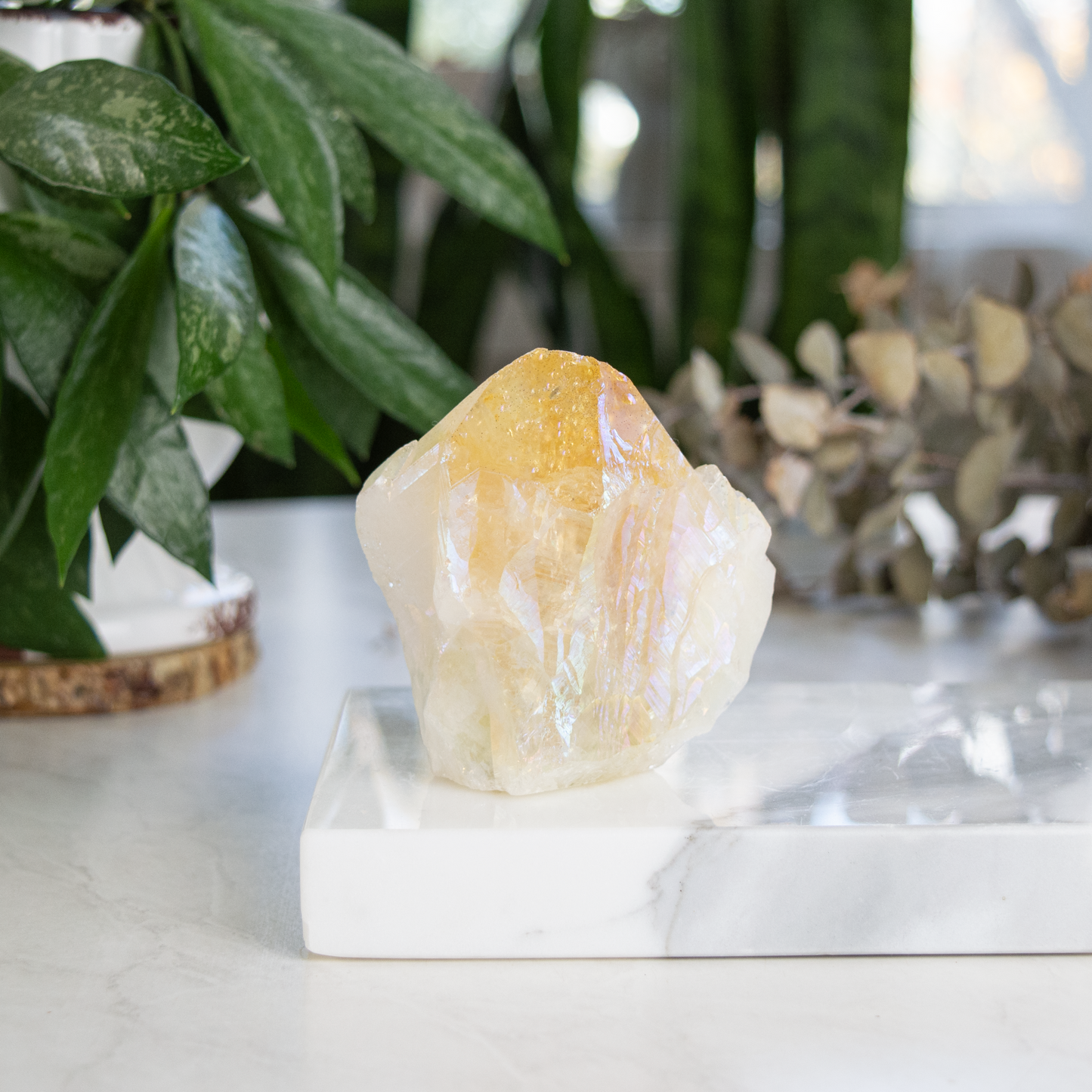 Citrine Angel Aura Rough Cut