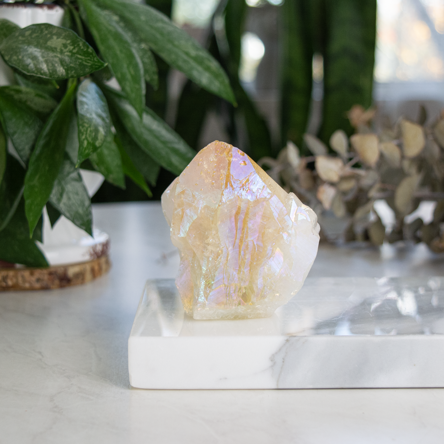 Citrine Angel Aura Rough Cut
